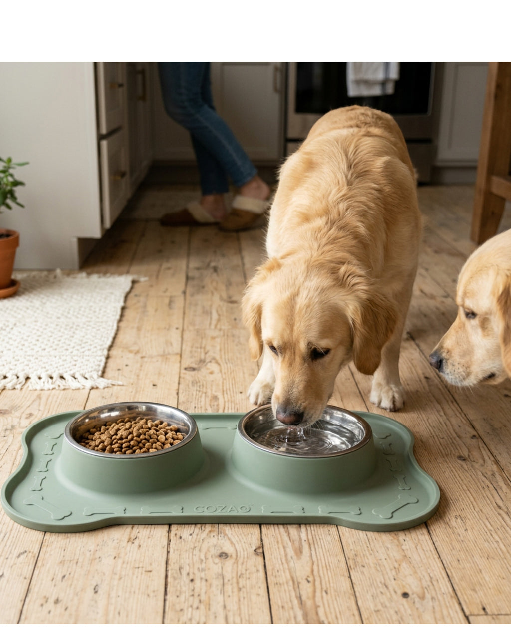 Cozao Double Pet Bowl Set Sage Silicone Mat 2 Bowls