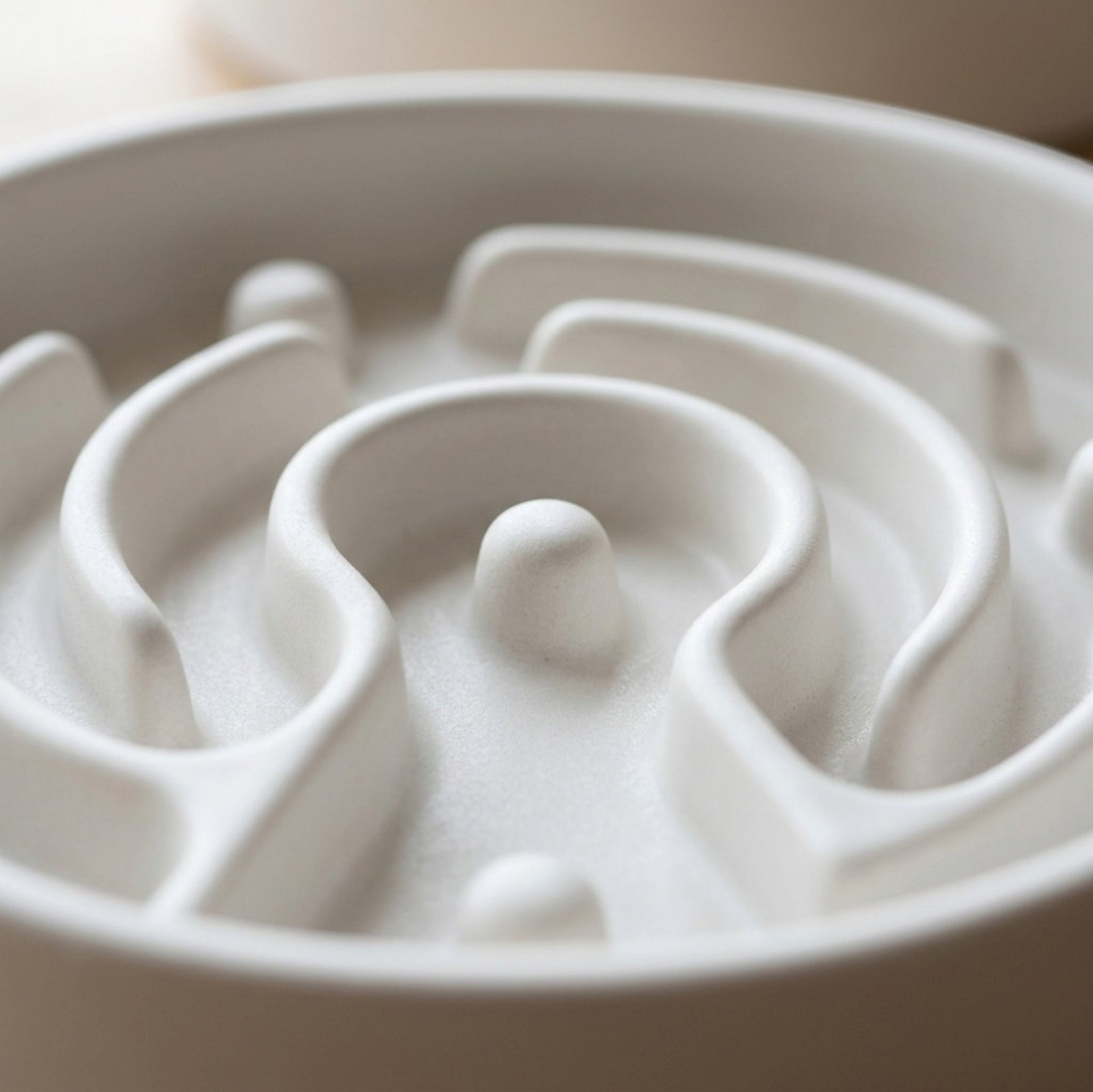 Cozao Ceramic Slow Feeder Pet Bowl 18 oz Matte White