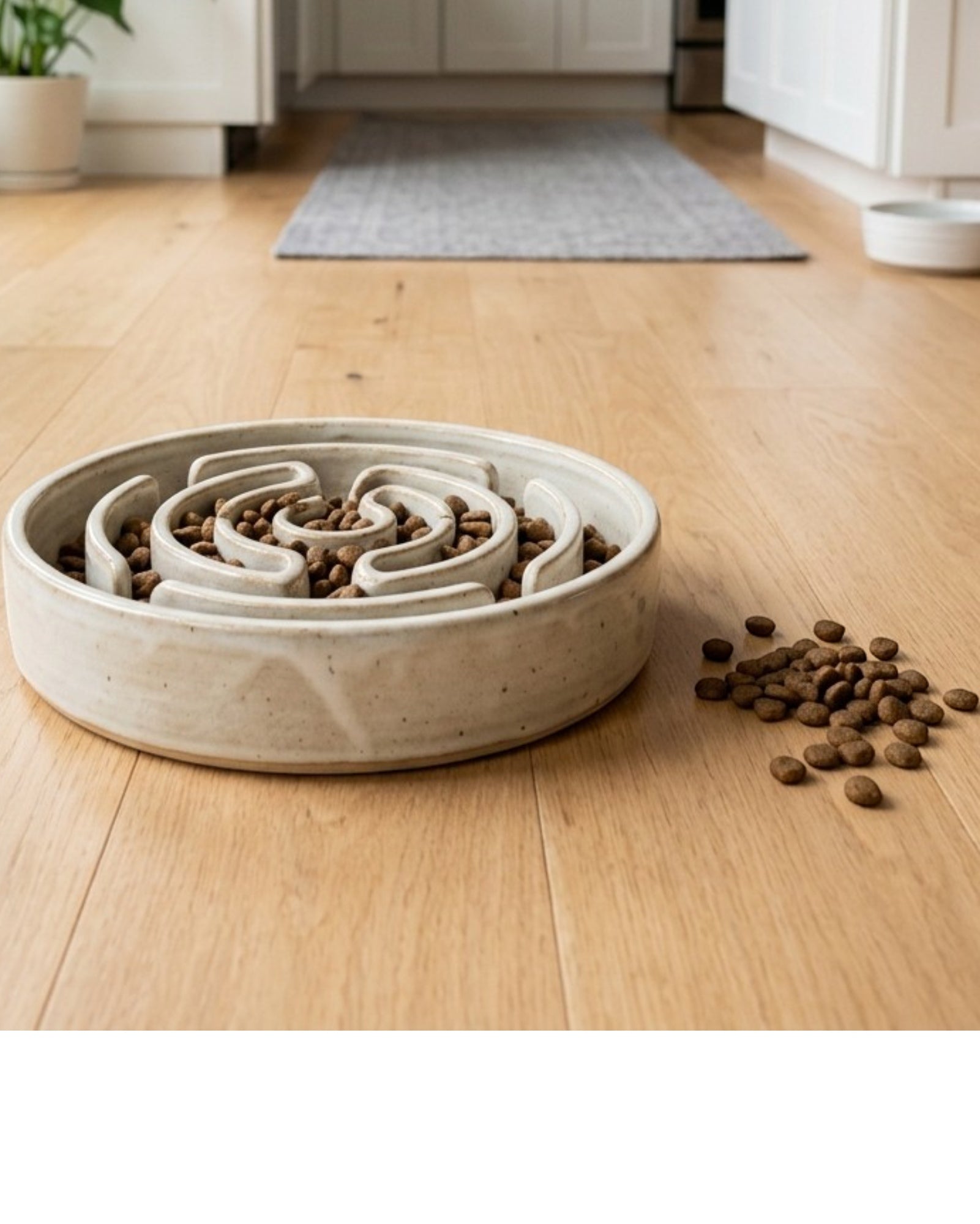 Cozao Ceramic Slow Feeder Pet Bowl 18 oz Matte White