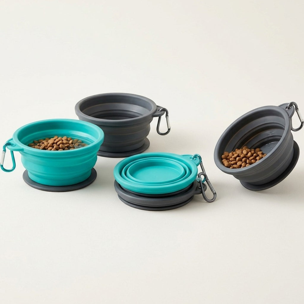 Cozao Travel Collapsible Pet Bowl Set Silicone 20 oz Teal